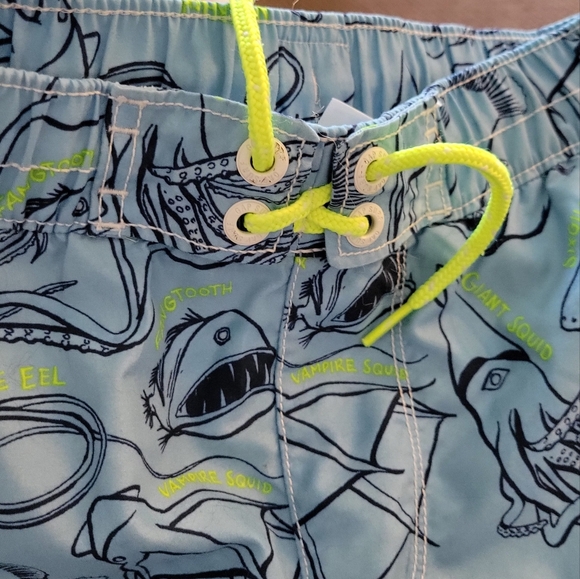 Boys size 8 Gap swim trunks - Picture 1 of 4